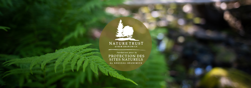 Waterways of New-Brunswick webinar